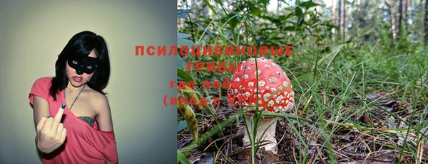 амф Балабаново