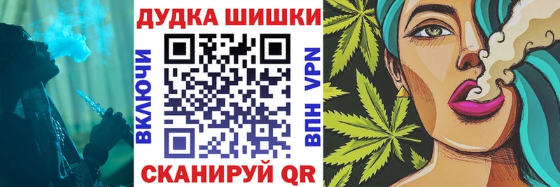 как найти   Куровское  Бошки марихуана гибрид 